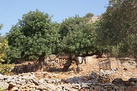 DSC00151