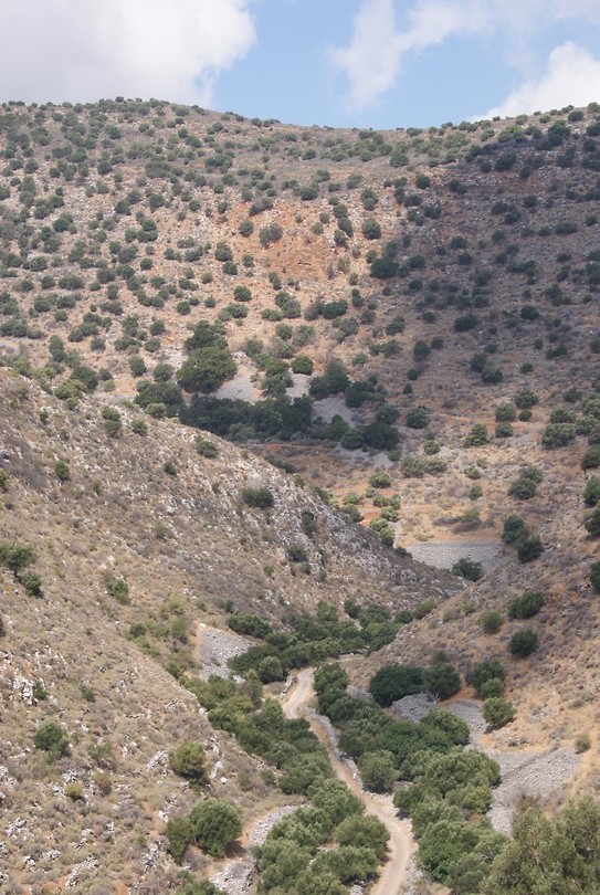 DSC00159