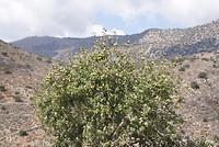 DSC00160