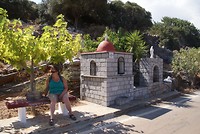 DSC00178