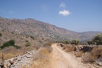 DSC00237