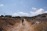 DSC00238