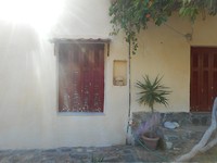 DSCN4237