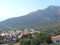 DSCN4259