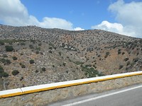 DSCN4286
