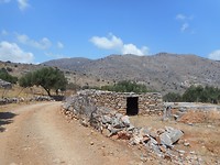 DSCN4330