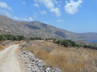 DSCN4337
