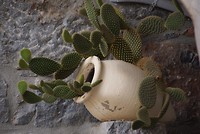 DSC00427