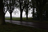 Borger oktober 2017 (11)