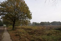Borger oktober 2017 (17)