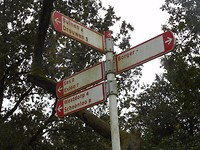 Borger oktober 2017 (21)