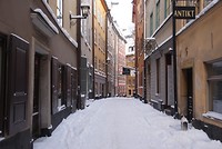 DSC01329