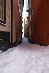 DSC01339
