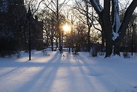 DSC01403