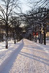 DSC01440