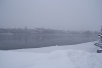 DSC01447