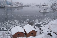 DSC01459
