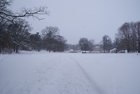 DSC01492