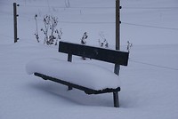 DSC01507