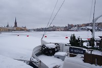 DSC01582