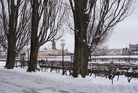 DSC01588