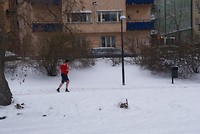 DSC01536