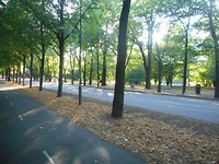 DSCN0191