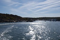 DSC06113