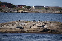 DSC06169