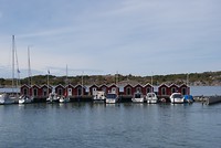 DSC06335