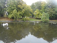 DSCN0315