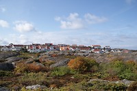 DSC06350