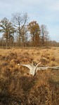 Weekendje Odoorn 2018 (11)