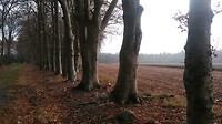 Weekendje Odoorn 2018 (17)