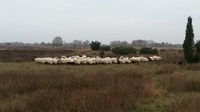 Weekendje Odoorn 2018 (18)