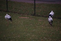 Weekendje Odoorn 2018 (23)