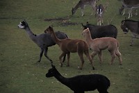 Weekendje Odoorn 2018 (26)