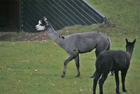 Weekendje Odoorn 2018 (27)