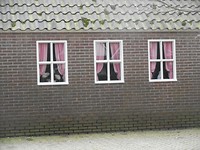 Westerbork reislogger feb 2019 (19)