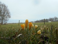 Westerbork reislogger feb 2019 (20)