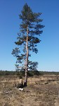 20190420_105300