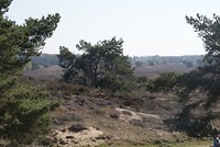 DSC06658