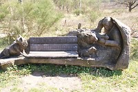 DSC06697