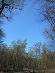 DSCN0637