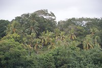DSC06886