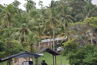 DSC06893