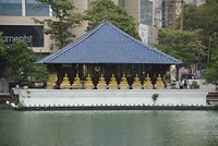 DSC07004