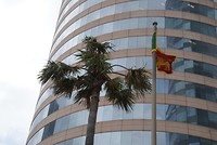 DSC07055