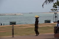 DSC07074