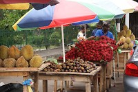 DSC07097